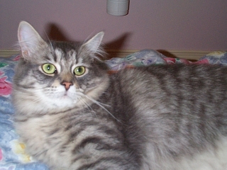[ME! (Chloe)]
